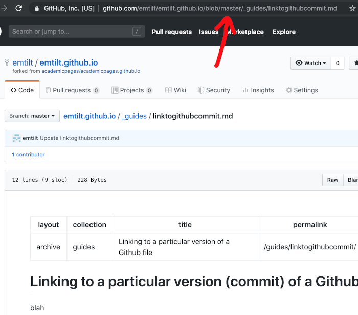 Github file view