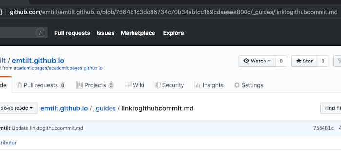 Github file view